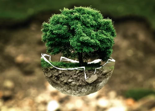 ¿Y la otra mitad del medio ambiente?